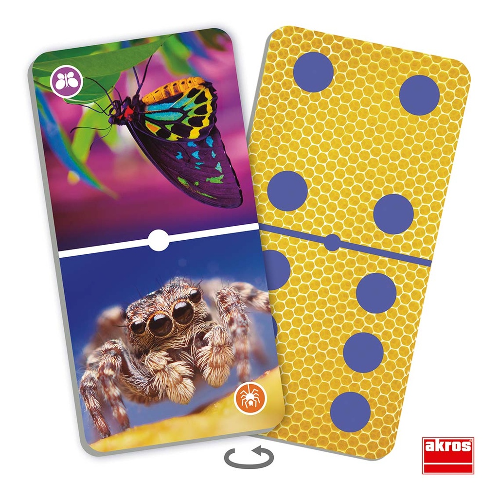 Insects Dominoes Discovery Game