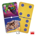 Insects Dominoes Discovery Game