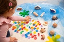 Translucent Colour Shells PK72 (73121)