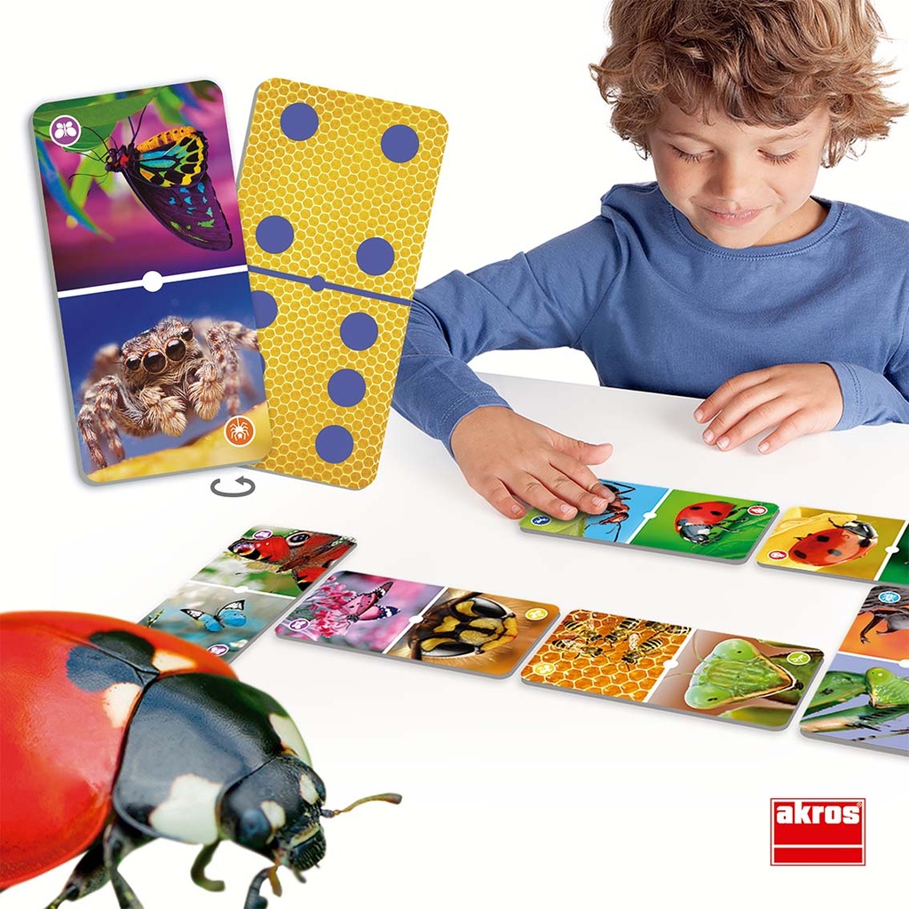 Discover Insects Domino Game