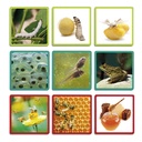 Akros Nature Sequences Game (30641)