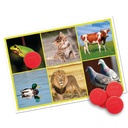 Bingo Game Animals and Nature Sounds