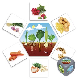 [4073-1011] Food Origins Association Game