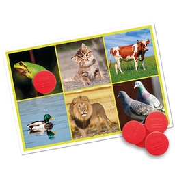 [4073-1029] Bingo Game Animals and Nature Sounds