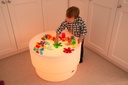 Discovery Sensory Table 