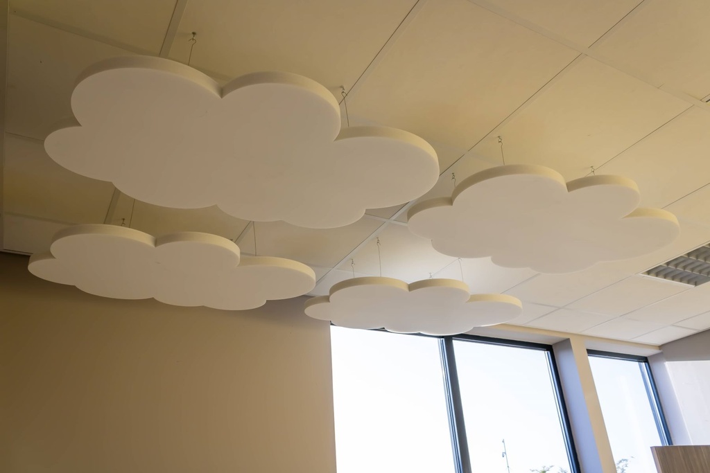 Acoustic Panel Cloud