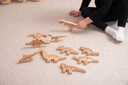 Dinosaur Wooden Blocks (74061)