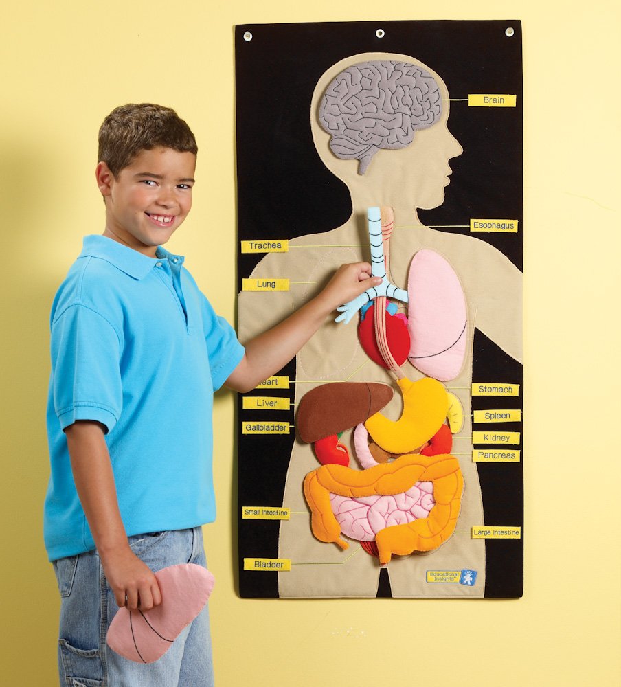 My Body Activity Centre