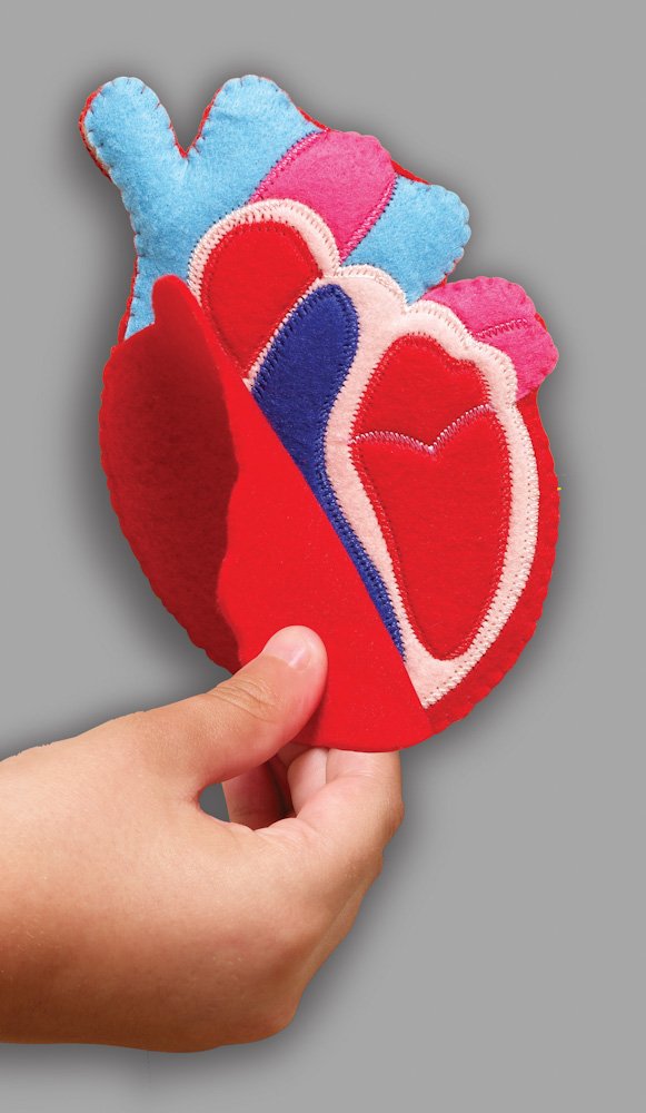 My Body Activity Centre