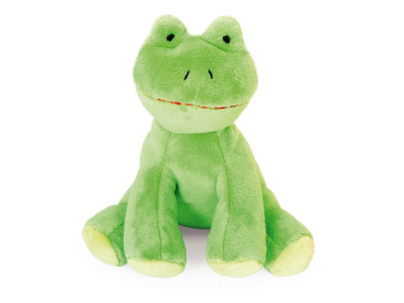 Sensory Frog