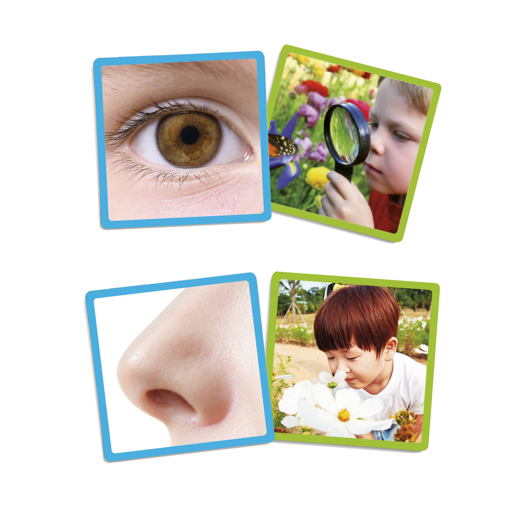 Akros The 5 Senses Cards (20610)