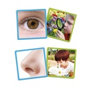 Akros The 5 Senses Cards (20610)