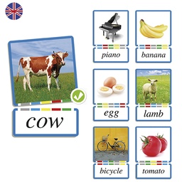 [4073-1036-OLD] Akros NOUNS Matching Game (20050)