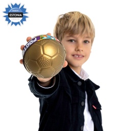 [4079-1004] Mini Football Ball