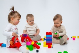 [4079-1020-OLD] Bio Soft Blocks Set 10 (GT3108)