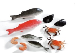 [4049-1020] Fish Market Play Set